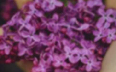 ӛ���еĻ�������(���\13ƪ)