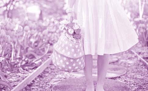 仙人掌和玫瑰花童話作文