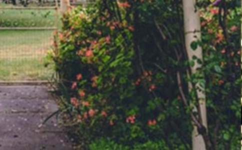 �����˵Ļ��@���̌W(xu��)�O(sh��)Ӌ(j��)