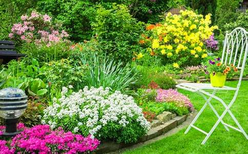 �����еİٻ��@����