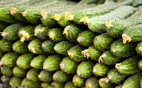 �P(gu��n)���^���S�����L������