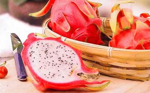 描寫火龍果的作文400字(通用14篇)