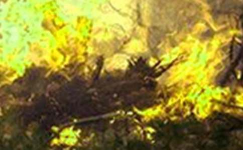 �P���h�x�������������ģ����x20ƪ��