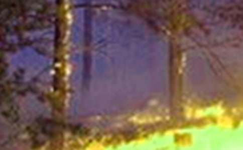 ���(z��i)����600����ƪ