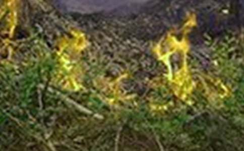 �h(yu��n)�x���(z��i)�����(��i)��������800�֣����x22ƪ��