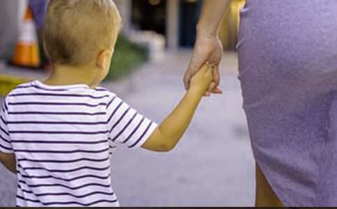 2017���P�������з��ü��L����