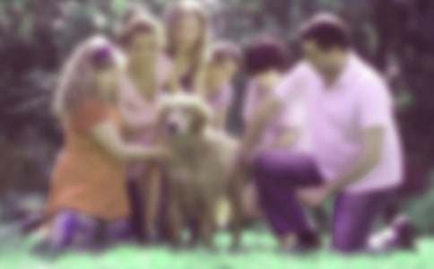 ��ͥ��������ͨ��15ƪ