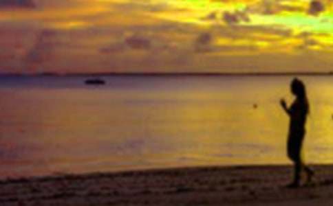 假期見(jiàn)聞作文800字(精選10篇)