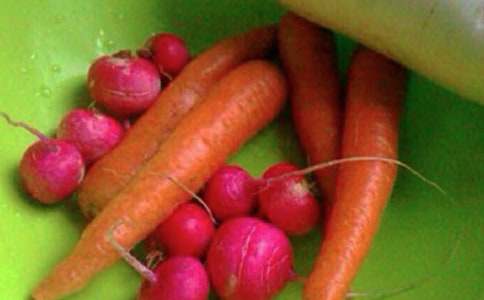 �ЌW���������������}����