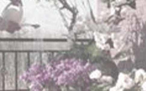 �������D����12ƪ