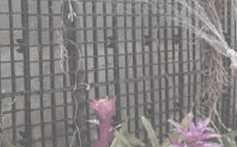 �P(gu��n)�ڝ�������