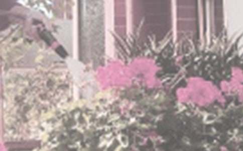 �������˟������粻�˝�����(y��u)������