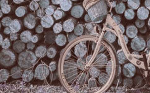 我和我的腳踏車作文(精選15篇)