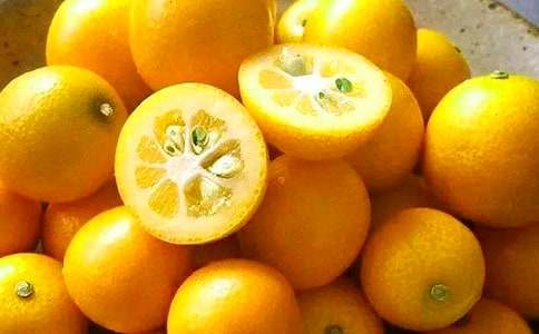 金桔作文400字六篇