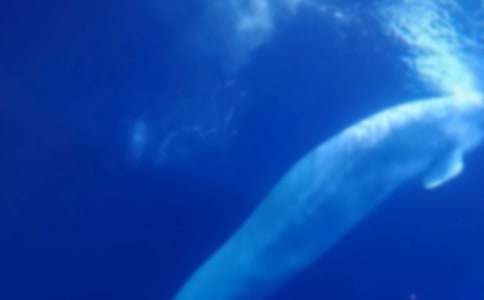 �L�~���U(xi��n)����800��