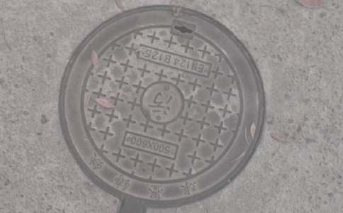 井蓋作文300字四篇