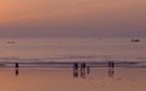 ���L�ľ�ɫ����