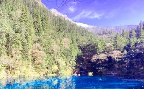 ��կ����ӛ���ģ����x21ƪ��