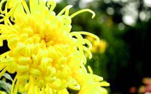 �茑�ջ���700�ֽ�(j��ng)������