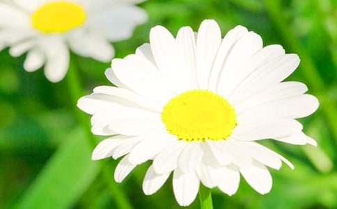 �����ľջ�С�����}��ӽ̰�