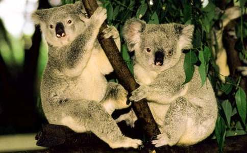 ��������300����ƪ