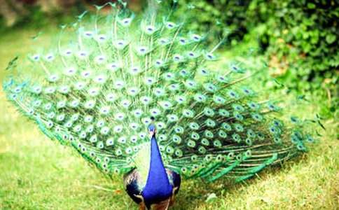 ����ȸ�|���w���Č�����500�֣����x10ƪ��