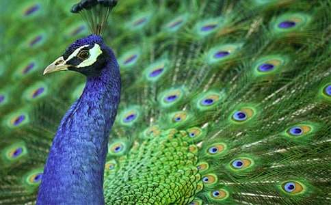 ��ȸ�~���ģ����x27ƪ��