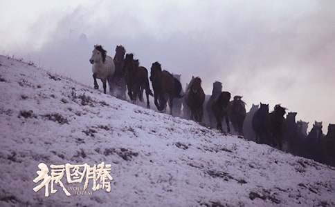 �ǈD�v����15ƪ