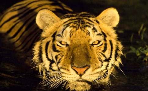 ���B�ϻ������ķ���