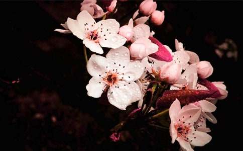 һ���滨һ����W������900�֣����x15ƪ��