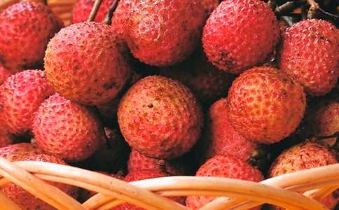 ���l(xi��ng)����֦������