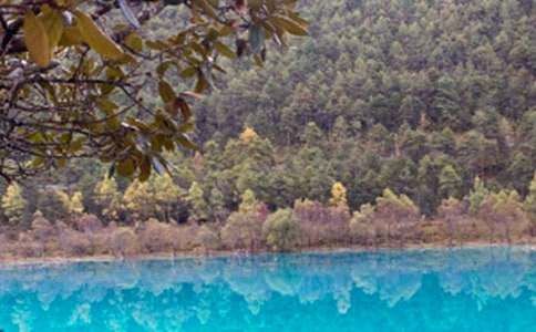 ������ɽƬβ�����t�ɽ�����~