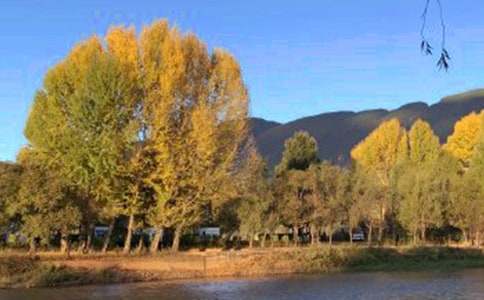 �茑(xi��)�����ųǵ�500�����ģ����x20ƪ��