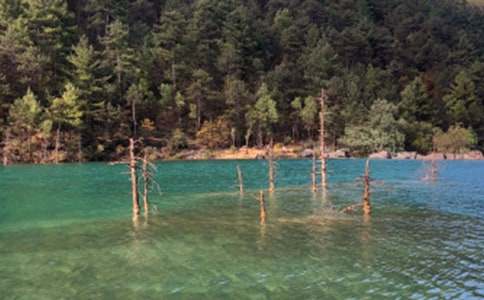 憶麗江初三作文