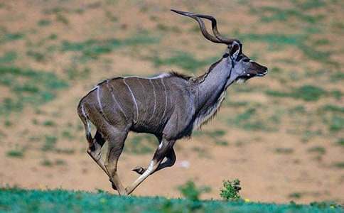 ����ľ���m(x��)��15ƪ