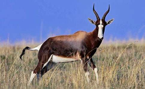 ������ľ�񡷾��x�̌W(xu��)�O(sh��)Ӌ(j��)