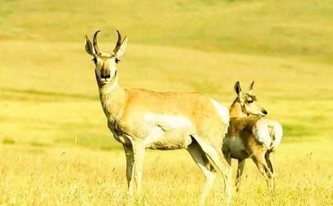 ����ľ���m(x��)����ƪ