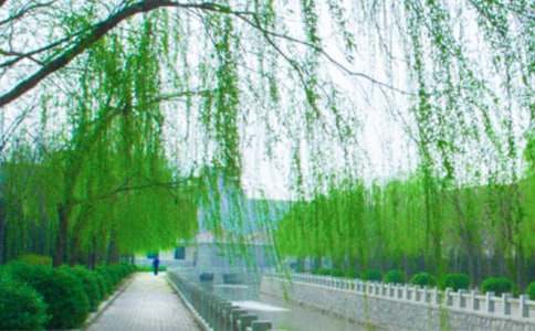 �^�����������3ƪ