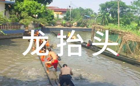 龍?zhí)ь^的習俗作文800字