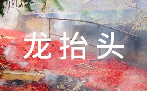 龍?zhí)ь^是什么意思作文(精選8篇)
