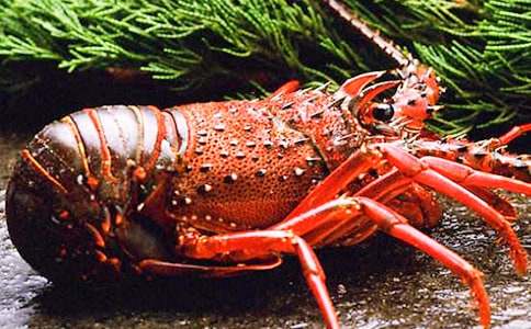 ��؂��С���rС�W(xu��)���@��(ji��ng)����