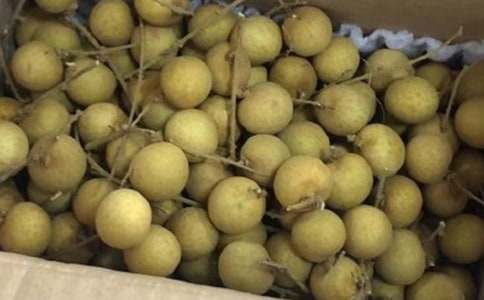 ��������600�֣�ͨ��37ƪ��