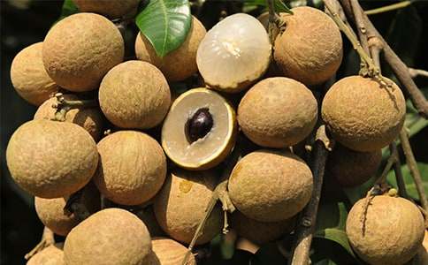 �Ҽ��l(xi��ng)����������500��