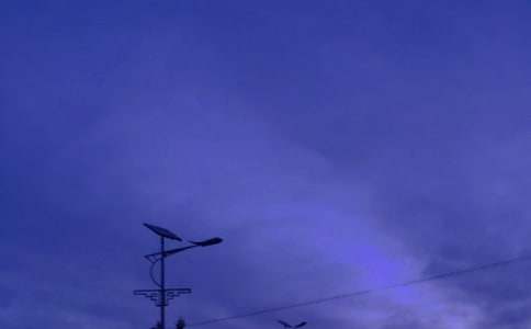 路燈下的身影作文