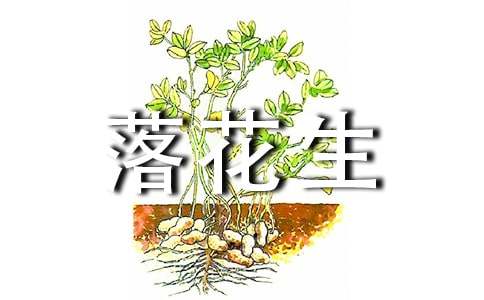 落花生教學(xué)設(shè)計(jì)范文(精選20篇)