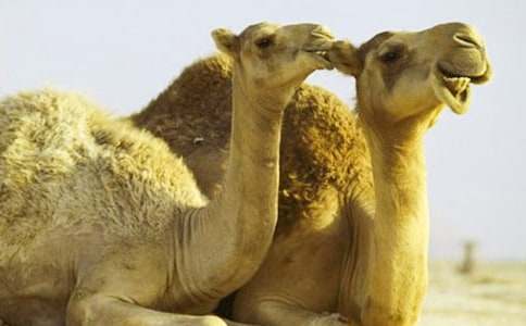 �������300�֣�ͨ��22ƪ��