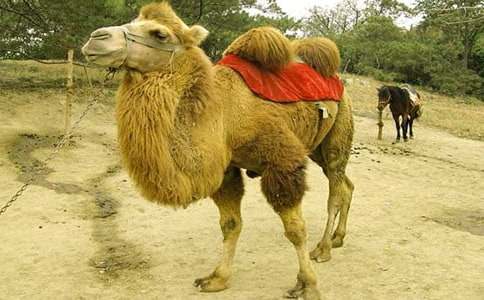 �R��������