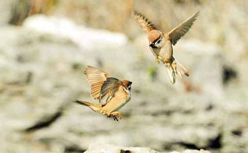 Ԣ�Թ������]����ȸ���uՓ