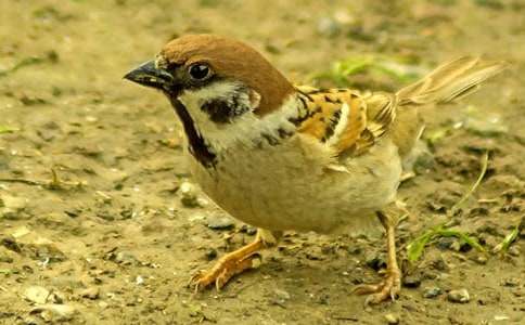 �����W����(y��u)�����ģ���ȸ�ְ�