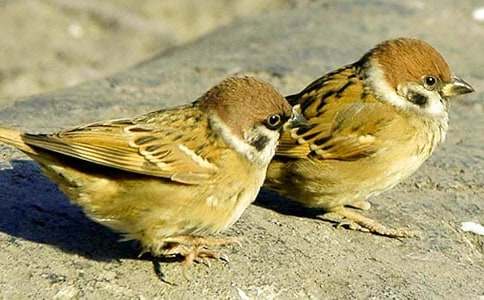 ��ĩ�^����ȸ����